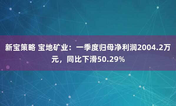 新宝策略 宝地矿业：一季度归母净利润2004.2万元，同比下滑50.29%