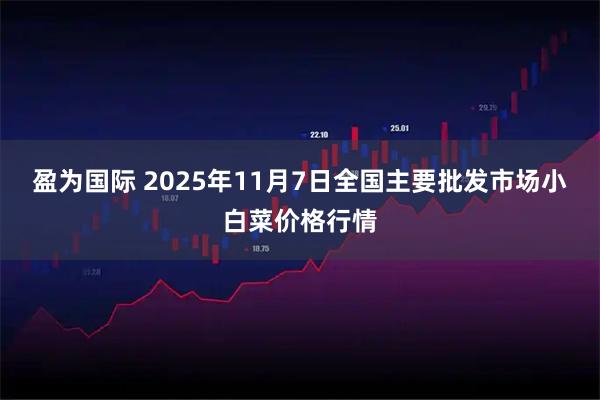 盈为国际 2025年11月7日全国主要批发市场小白菜价格行情