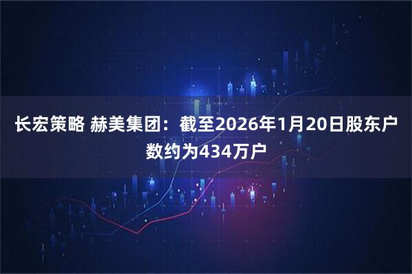 长宏策略 赫美集团：截至2026年1月20日股东户数约为434万户